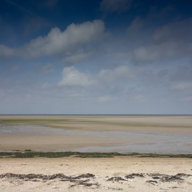 DSC04956
