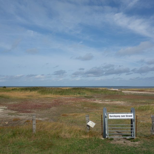 DSC05129
